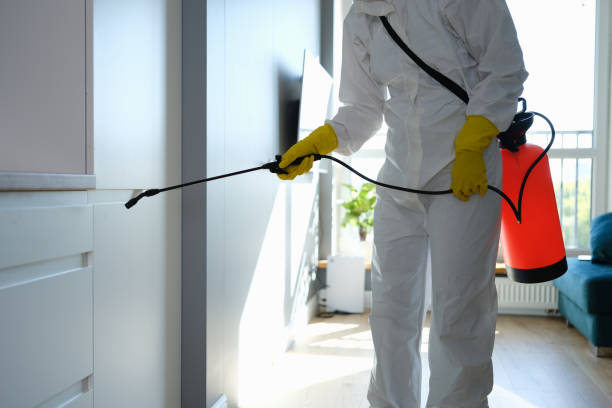 Best Local Mold Removal Service  in Glenwood City, WI